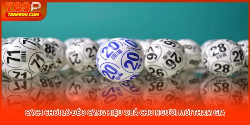 Cách chơi lô đề 3 càng hiệu quả cho người mới tham gia