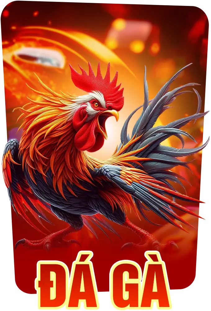 đá gà