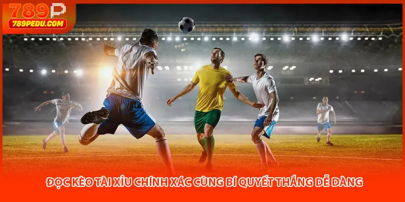 Đọc kèo tài xỉu