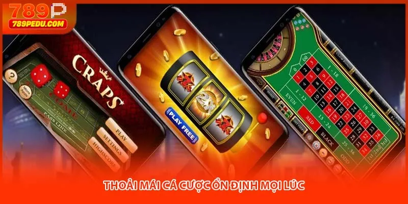 Thoải mái cá cược ổn định mọi lúc